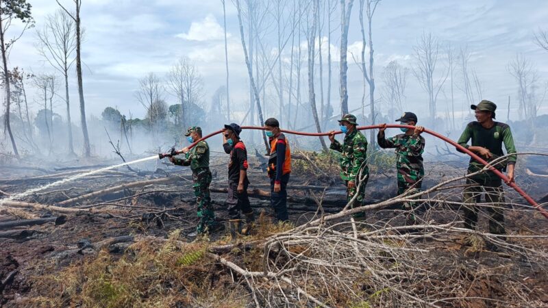 Suasana tim gabungan saat melakukan penyisiran, pemadaman, pembasahan, dan pendinginan di kawasan karhutla Gampong Ujung Mangki, Kecamatan Bakongan, Aceh Selatan, Rabu (2/9/2026). Foto: Dok. Istimewa 