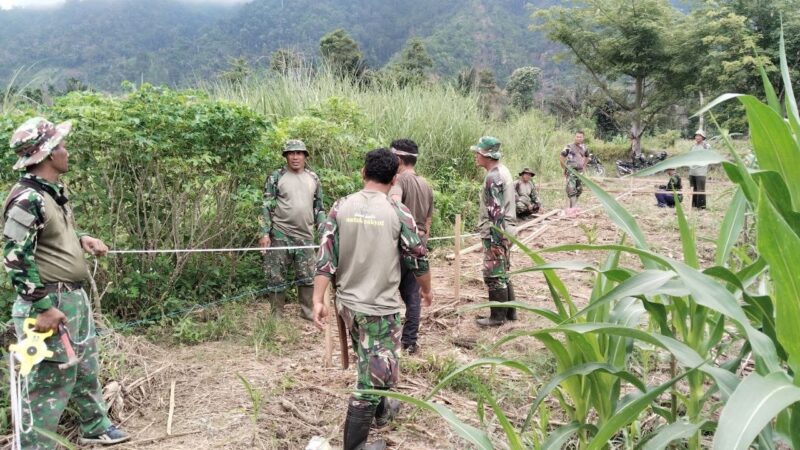 Babinsa Posramil Lawe Sumur jajaran Kodim 0108/Agara bersama masyarakat melakukan pengukuran lokasi yang akan dibangun Jembatan Gantung Perintis sepanjang sekitar 120 meter di Desa Buah Pala, Kecamatan Lawe Sumur, Aceh Tenggara, Minggu (13/9/2026). Foto: Dok. Istimewa 