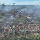 Tim gabungan TNI, Polri, BPBD Aceh Selatan, TNGL, pemerintah kecamatan dan masyarakat melakukan penyisiran serta pendinginan di lokasi Karhutla Gampong Drien, Kecamatan Bakongan, Aceh Selatan, Senin (31/8/2026). Foto: Dok. Istimewa 
