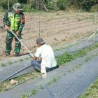 Babinsa Koramil 09/Ketol Sertu Aan Puji S membantu pemasangan pipa saluran air untuk penyiraman tanaman cabai, Selasa (22/9/2026).dok:Ist