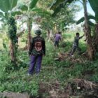 Babinsa Satgas Jembatan Gantung Serda Dedi Sabara bersama warga bergotong royong membersihkan lahan yang akan menjadi lokasi pembangunan jembatan gantung di Desa Rambung Jaya, Kecamatan Darul Hasanah, Aceh Tenggara, Senin (14/9/2026). Foto: Dok. Istimewa