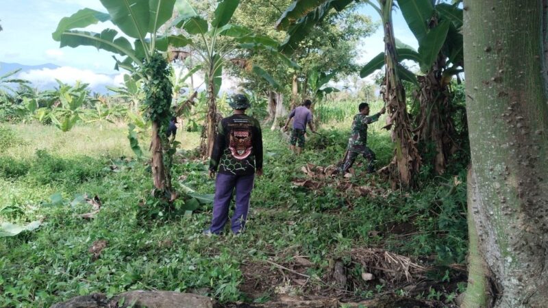 Babinsa Satgas Jembatan Gantung Serda Dedi Sabara bersama warga bergotong royong membersihkan lahan yang akan menjadi lokasi pembangunan jembatan gantung di Desa Rambung Jaya, Kecamatan Darul Hasanah, Aceh Tenggara, Senin (14/9/2026). Foto: Dok. Istimewa 