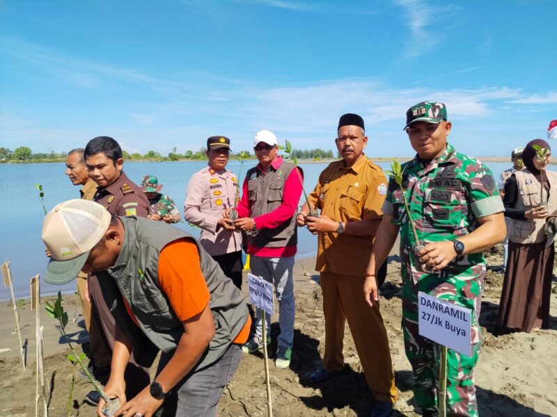 Personel TNI-Polri bersama pemerintah daerah dan masyarakat menanam 2.000 pohon mangrove di kawasan pesisir Pasi Aron, Kecamatan Jangka Buya, Pidie Jaya, Selasa (8/9/2026). Foto: Dok. Istimewa 