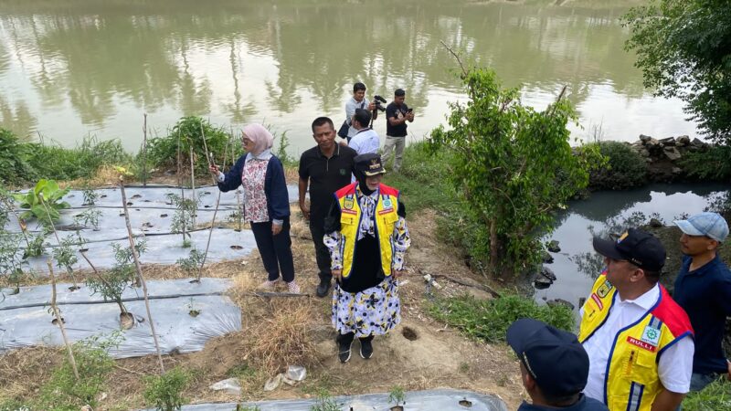 Wali Kota Banda Aceh Illiza Sa’aduddin Djamal meninjau pembangunan dan peningkatan drainase serta pemeliharaan jalan untuk mengantisipasi banjir saat musim hujan, Banda Aceh, Jumat (2/10/2026). Foto: Dok. Diskominfo Kota Banda Aceh